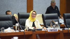 Wakil Ketua Komisi X DPR RI Hetifah Sjaifudian / Istimewa