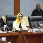 Wakil Ketua Komisi X DPR RI Hetifah Sjaifudian / Istimewa