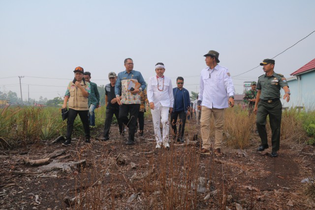 Wakil Ketua Komisi IV DPR RI Dedi Mulyadi, saat meninjau bekas kebakaran hutan dan lahan  di Kalimantan Tengah / Foto Istimewa