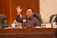 Ketua Komisi IV DPR RI Sudin / Istimewa