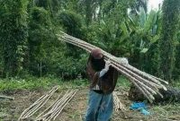 Foto Istimewa