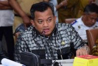 Anggota Badan Angaran DPR RI Mulyadi./ Istimewa