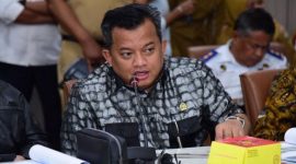 Anggota Badan Angaran DPR RI Mulyadi./ Istimewa