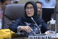 Wakil Ketua Komisi IX DPR RI Sri Rahayu