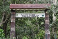 Taman Nadional Gunung Leuser (Foto : Istimewa)