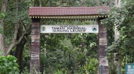 Taman Nadional Gunung Leuser (Foto : Istimewa)