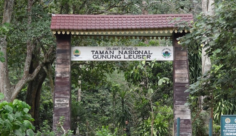 Taman Nadional Gunung Leuser (Foto : Istimewa)