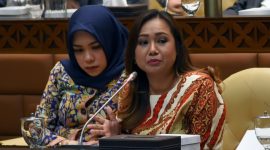 Anggota Komisi V DPR RI Lasmi Indaryani / Ist