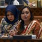 Anggota Komisi V DPR RI Lasmi Indaryani / Ist