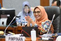 Wakil Ketua Komisi X DPR RI Hetifah Sjaifudian. Foto : Jaka/Man