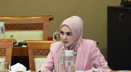 Anggota Komisi VII DPR RI Mulan Jameela. Foto : Azka/Man / Istimewa