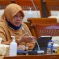 Anggota Komisi XI DPR RI Anis Byarwati./ Istimewa