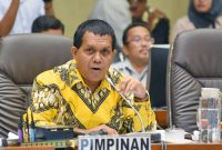 Wakil Ketua Komisi IX DPR RI Emanuel Melkiades Laka Lena. Foto : Arief/Man