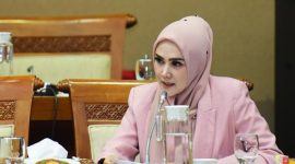 
Anggota Komisi VII DPR RI Mulan Jameela. Foto : Azka/Man
 