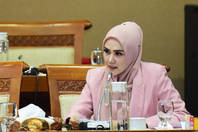 
Anggota Komisi VII DPR RI Mulan Jameela. Foto : Azka/Man
 