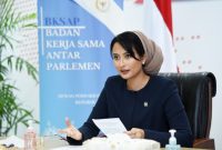 Anggota Badan Kerja Sama Antar Parlemen (BKSAP) DPR RI Dyah Roro Esti./ istimewa