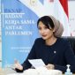 Anggota Badan Kerja Sama Antar Parlemen (BKSAP) DPR RI Dyah Roro Esti./ istimewa