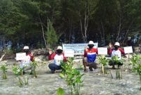 Penanaman bibit mangrove di Pulau Tidung (Foto Pertamina)