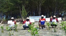 Penanaman bibit mangrove di Pulau Tidung (Foto Pertamina)