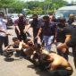 foto Ist