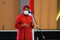 Menteri Sosial Tri Rismaharini / Foto Istimewa