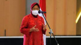 Menteri Sosial Tri Rismaharini / Foto Istimewa