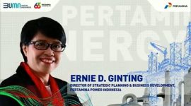 Ernie D Ginting, Director of Strategic Planning and Business Development PPI (Dok. Pertamina)
