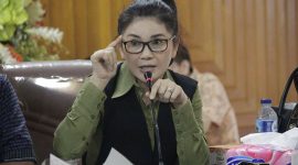 Ketua Komisi IX DPR RI Felly Estelita Runtuwene  / ist