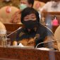 
Menteri LHK Siti Nurbaya / Ist
