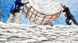 foto Ilustrasi / Net