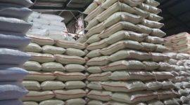 Foto Ilustrasi / Net