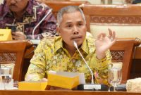 Anggota Komisi XI DPR RI Achmad Hafisz Tohir / Net