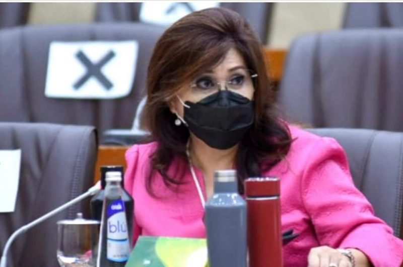 Anggota Komisi VI DPR RI Evita Nursanty / Foto Ist / Net