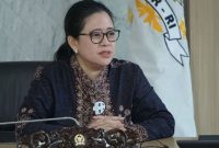 Ketua DPR RI Dr. (H.C) Puan Maharani / Ist