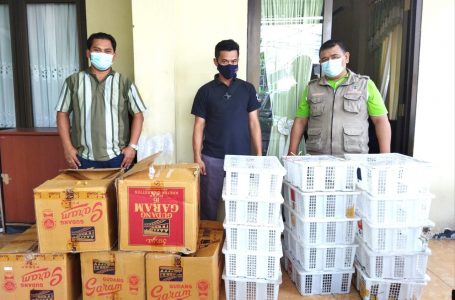 Balai Gakkum KLHK Wilayah Kalimantan Hentikan Perdagangan Ilegal Ratusan Burung