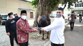  Menteri Desa, PDT dan Transmigrasi Abdul Halim Iskandar di dampingi sekjen Kemendes PDTT Taufik Madjid, memberikan secara simbolis 4 ekor sapi kepada takmir Masjid Al muhajirin untuk dibagikan kepegawai yang berhak dan masyarakat di sekitar kantor Kemendesa PDTT, Rabu (21/7). / Ist