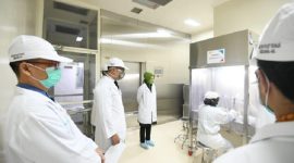 foto Ilustrasi / Net