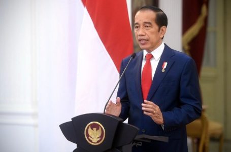 Empat Pandangan Jokowi Terkait SDGs di Forum Tingkat Tinggi Dewan Ekonomi Sosial PBB