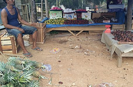 Pasar Rantau Jaya Penuhi Kebutuhan Penduduk Dusun III dan IV di Riau