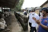 Kunker Menteri Desa, Pembangunan Daerah Tertinggal dan Transmigrasi Abdul Halim Iskandar didampingi isteri Lilik Umi Nasriyah Meninjau Perternakan Sapi dan Ayam di Kecamatan Tanjung Sari Kab. Lampung Selatan Prov. Lampung. 8 September 2021. Foto : Nugrah S