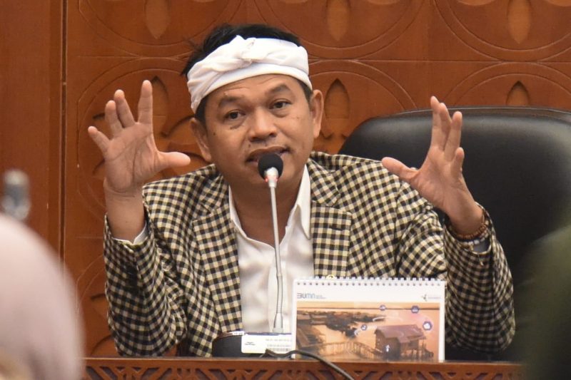 Wakil Ketua Komisi IV DPR RI Dedi Mulyadi / Foto Ist