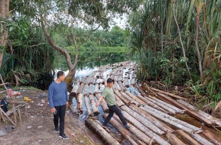 Ratusan Tual Kayu Illegal Logging Diamankan Tim Krimsus Polda Riau