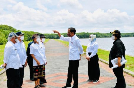 Presidensi G20, Indonesia Akan Tunjukkan Komitmen Kuat Atasi Perubahan Iklim