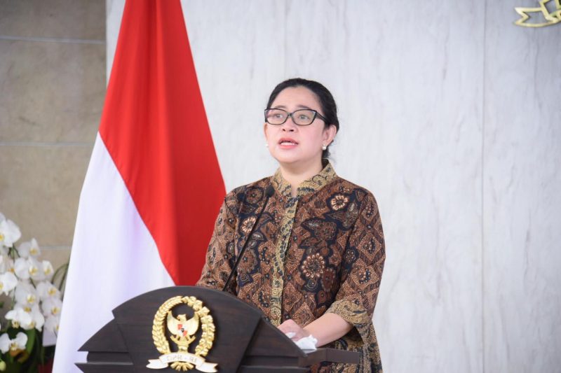 Ketua DPR RI Dr. (H.C) Puan Maharani. / Foto Ist