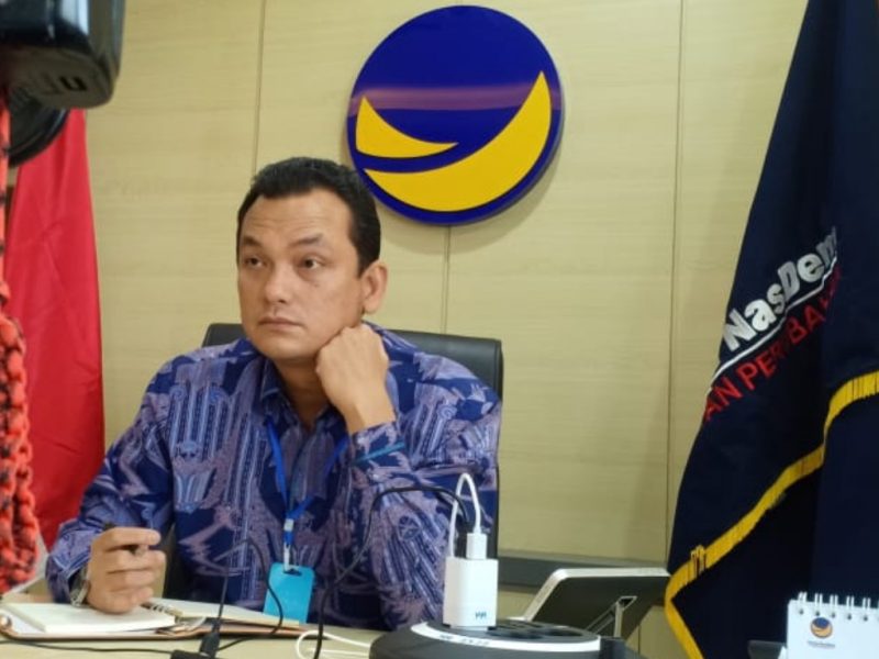 Wakil Ketua Komisi VI DPR RI dari Fraksi Partai NasDem, Martin Manurung / foto ist