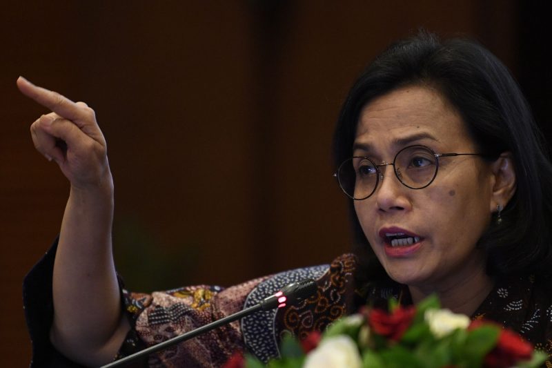  Menteri Keuangan (Menkeu) Sri Mulyani Indrawati / foto ist