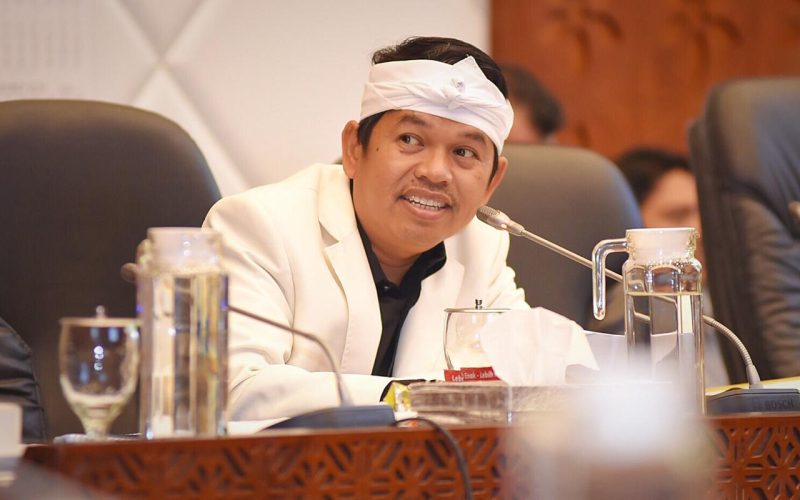  Wakil Ketua Komisi IV DPR RI Dedi Mulyadi (foto Istimewa )