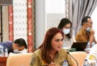 Sari Yuliati Komisi II DPR RI / foto ist