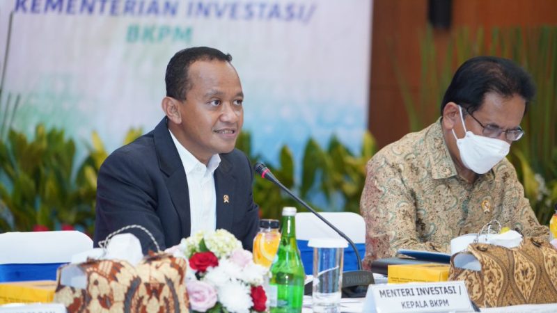 Menteri Investasi/Kepala BKPM Bahlil Lahadalia ( Foto Istimewa)