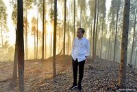 foto Istimewa
